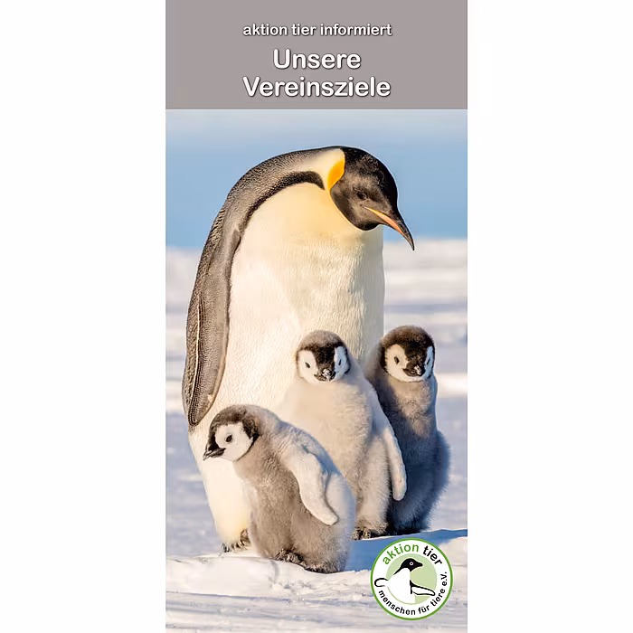 Flyer „Vereinsziele“