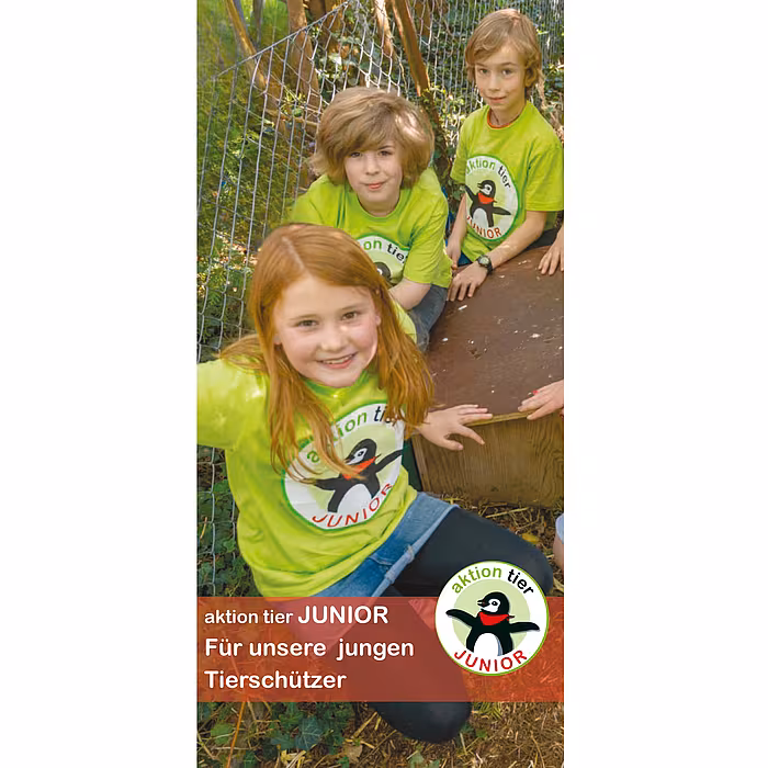 Flyer "Projekt JUNIOR"