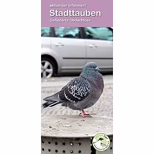 Flyer „Stadttauben“
