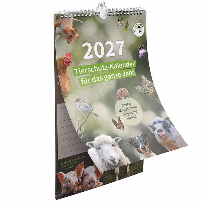 aktion tier A4 Kalender 2027