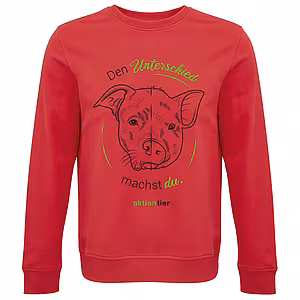 Unisex-Sweatshirt – Motiv "Den Unterschied machst du"