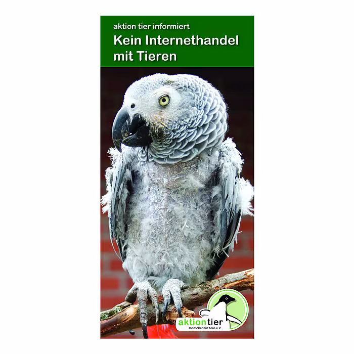 Flyer "Kein Internethandel mit Tieren"