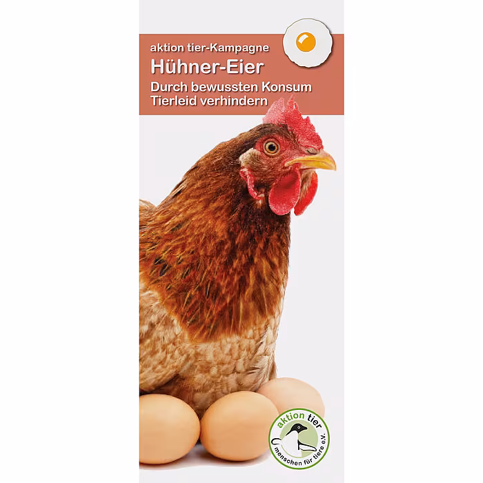 aktion tier Flyer "Hühner-Eier"