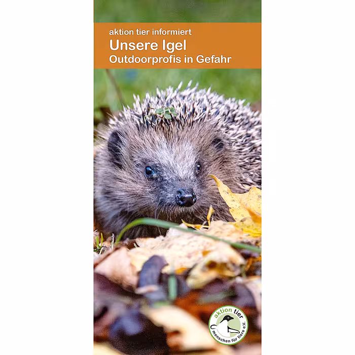 aktion tier Flyer "Unsere Igel - Outdoorprofis in Gefahr"