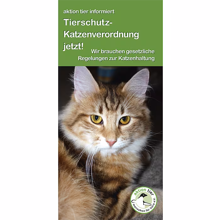 aktion tier Flyer "Tierschutz-Katzenverordnung jetzt!"
